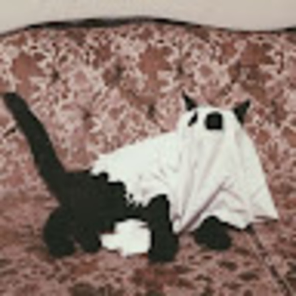 gloomyghoulst